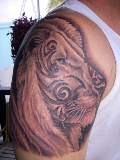 tatouage lion 07