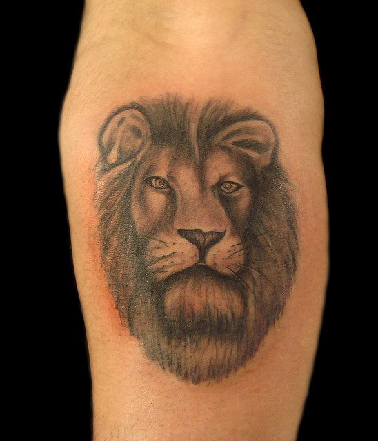 tatouage lion 08