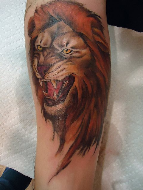 tatouage lion 29