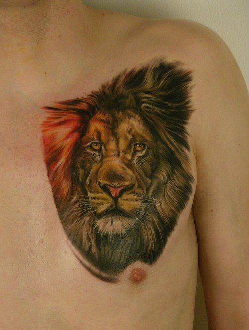 tatouage lion 37
