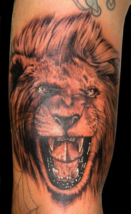 tatouage lion 43