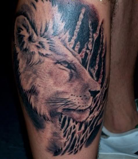 tatouage lion 46
