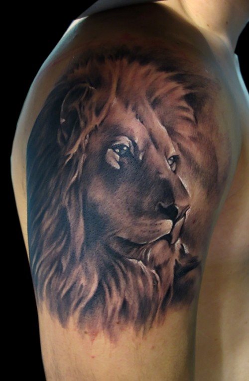 tatouage lion 47