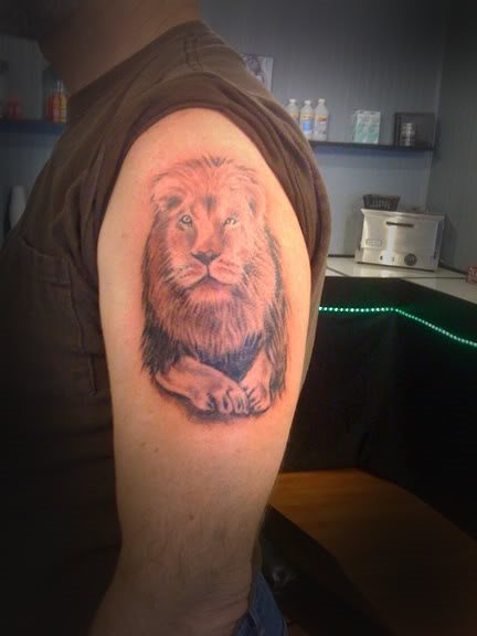 tatouage lion 50