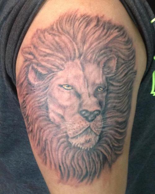 tatouage lion 52