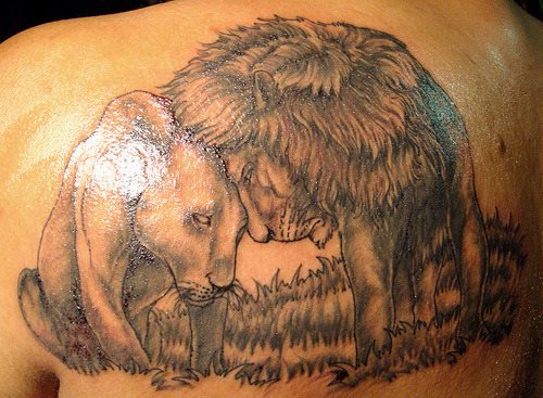 tatouage lion 54