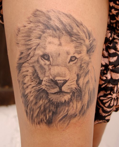 tatouage lion 61