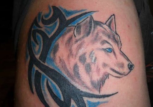 tatouage loup 07