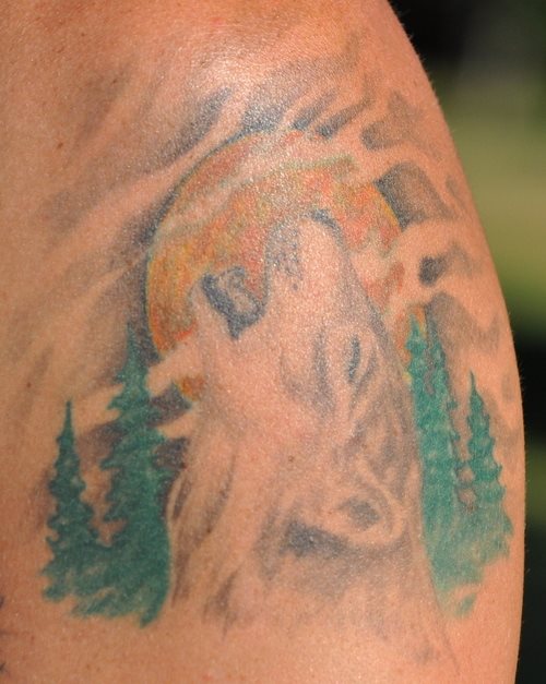 tatouage loup 33