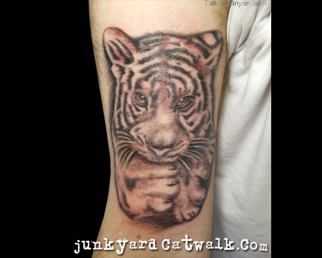 tatouage tigre 03