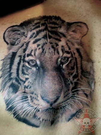 tatouage tigre 11