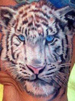 tatouage tigre 16