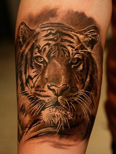 tatouage tigre 22