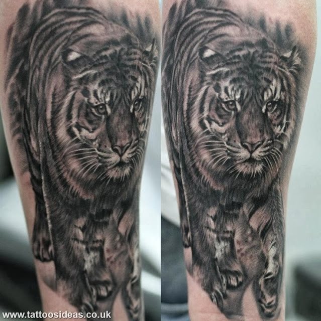 tatouage tigre 60