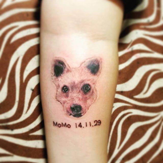 tatouage chien 33
