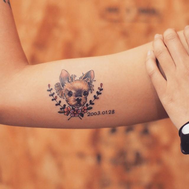 tatouage chien 71