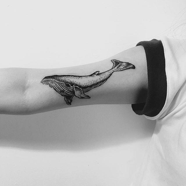 tatouage baleine 03