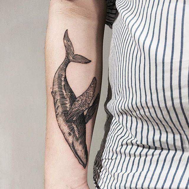 tatouage baleine 13