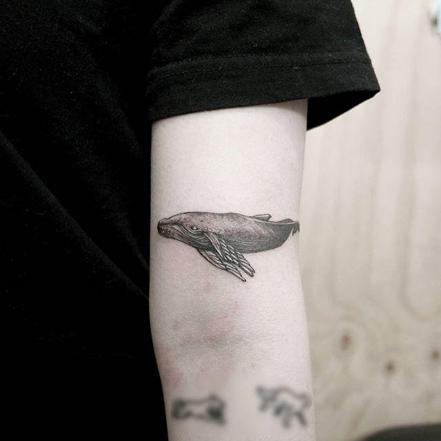 tatouage baleine 51
