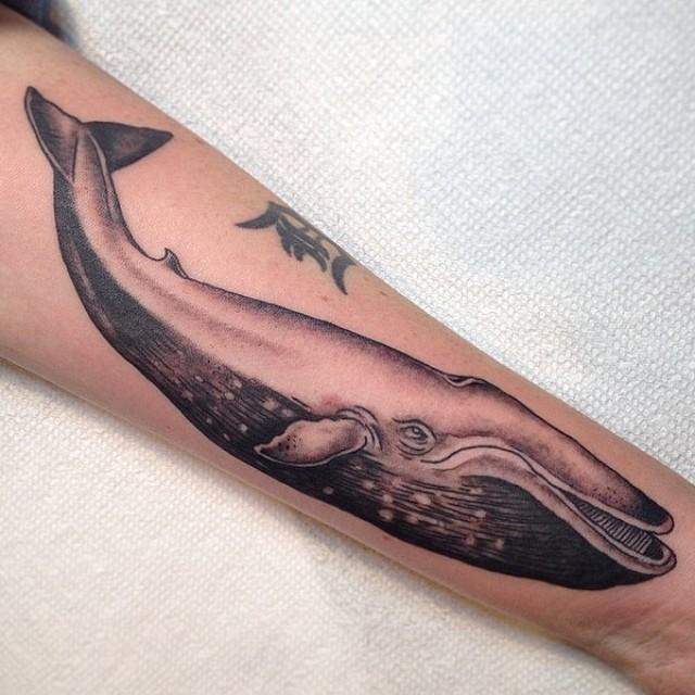 tatouage baleine 61