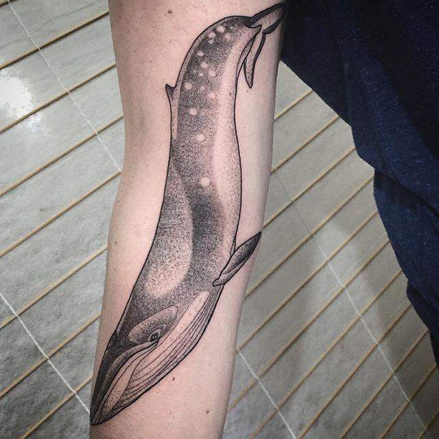 tatouage baleine 97