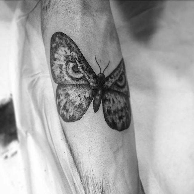 tatouage papillon 83