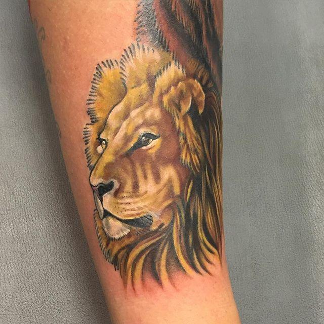 tatouage lion 31