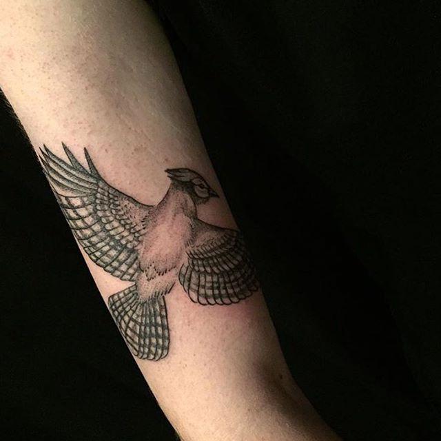 tatouage oiseau 17