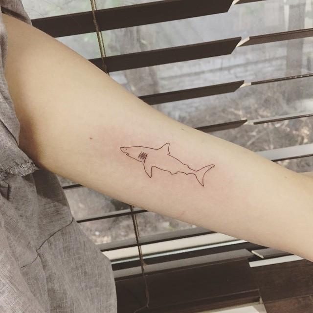 tatouage requin 31