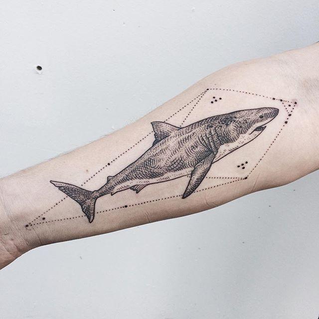 tatouage requin 71