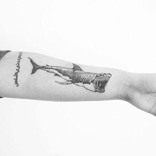 tatouage requin 85