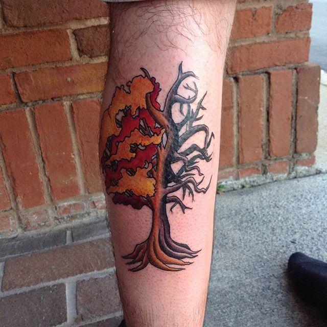 tatouage arbre 113