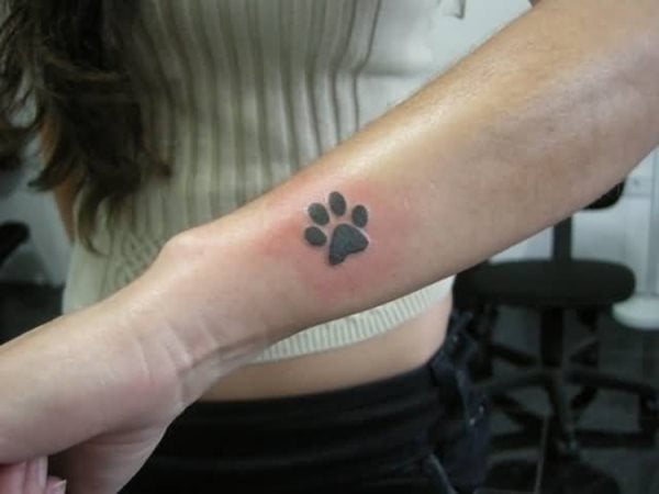 tatouage empreinte chien 177