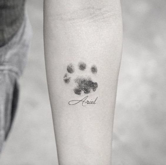 tatouage empreinte chien 213
