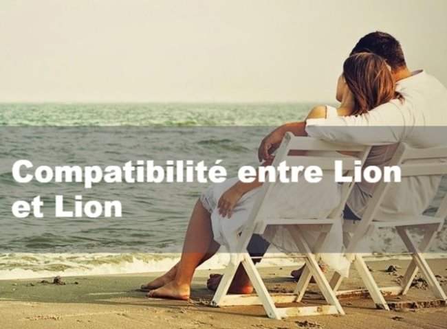 Homme Lion et Femme Lion - Compatibilité en amour