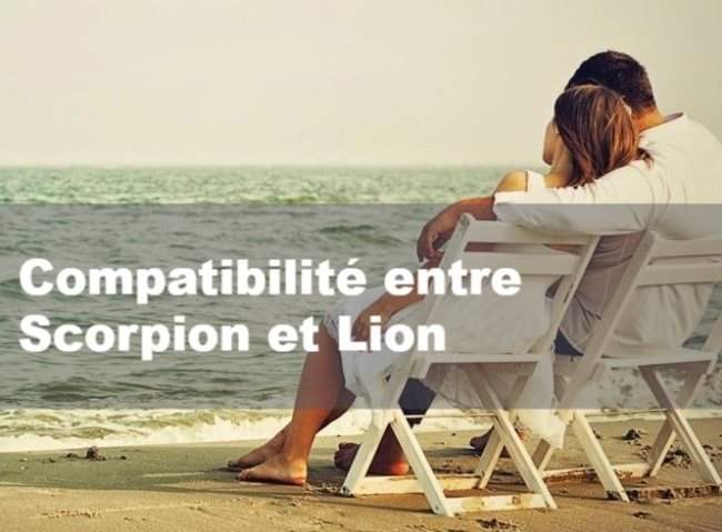 Compatibilité amoureuse entre Scorpion et Lion