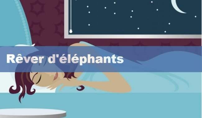 Rêver d'éléphants: qu'est-ce que ça signifie?