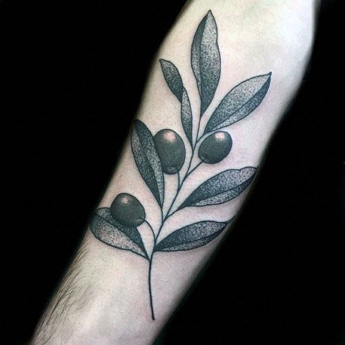 tatouage rameau d'olivier100
