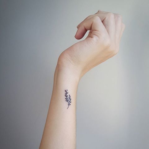 tatouage rameau d'olivier134