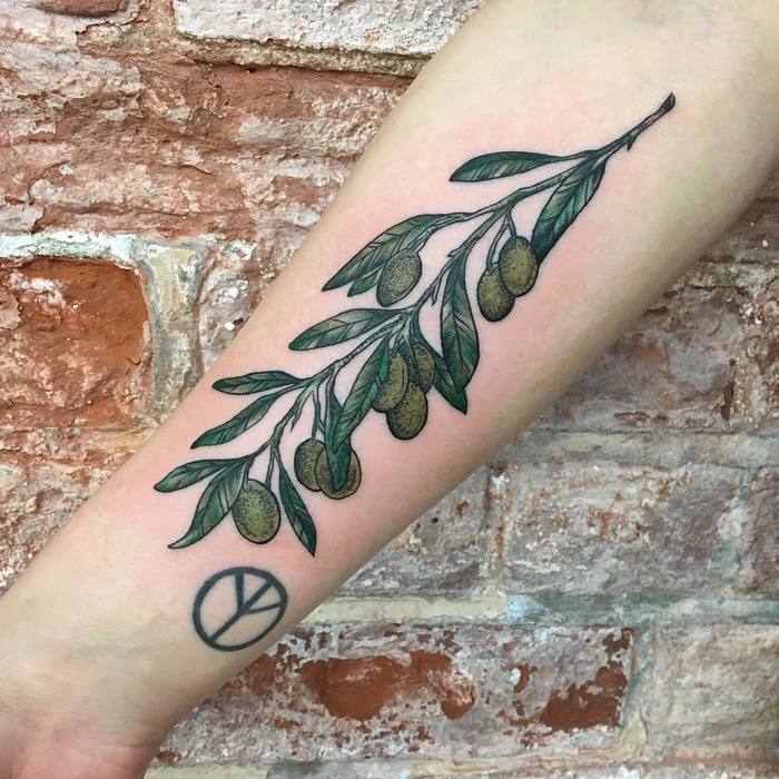 tatouage rameau d'olivier164