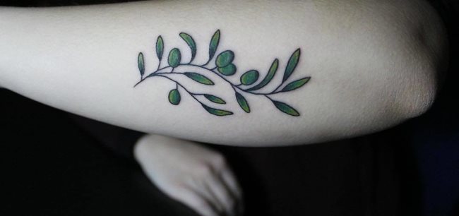 tatouage rameau d'olivier180