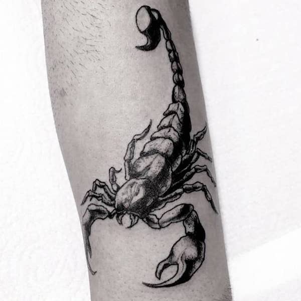 tatouage scorpion 21