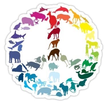 5 Animals that Symbolize Peace and Hope