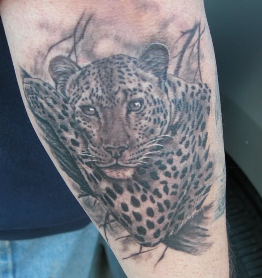 85 Tatuaggi di leopardi africani
