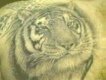 tigri-tatuaggi-117