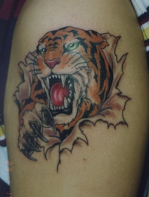 tigri-tatuaggi-124