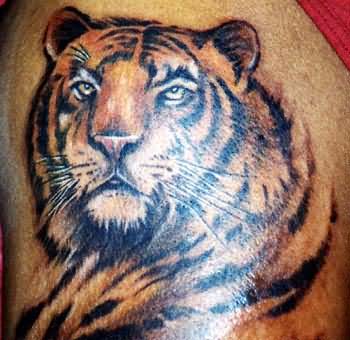 tatuaggio-tigre-111
