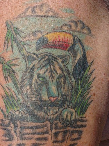 tigri-tatuaggi-06