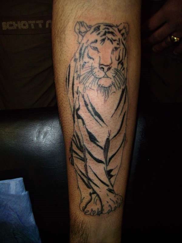 tigri-tatuaggi-07