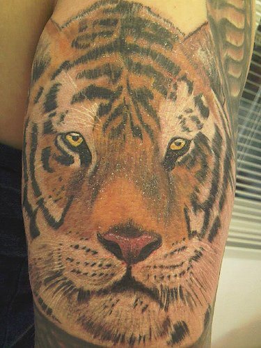 tigri-tatuaggi-19
